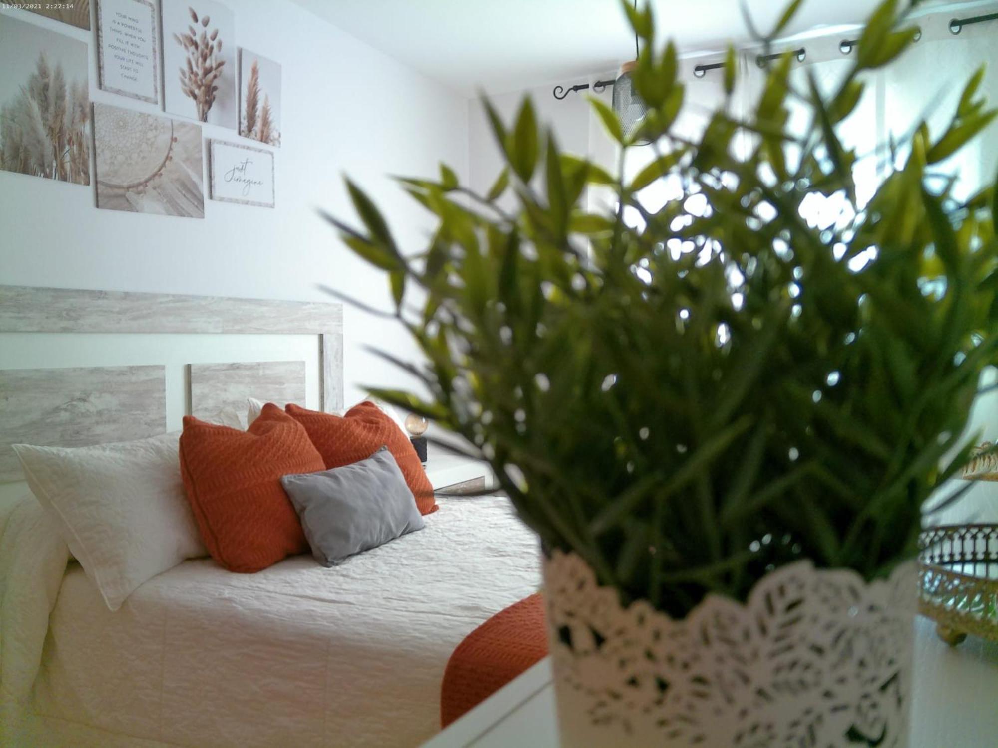 Apartamento Deltafamily ¡ Barbacoa,Piscina, Wifi Chromecast !! Els Muntells Exterior foto